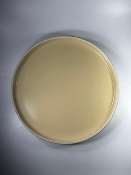 Plato Cartero De Colores Borde Blanco