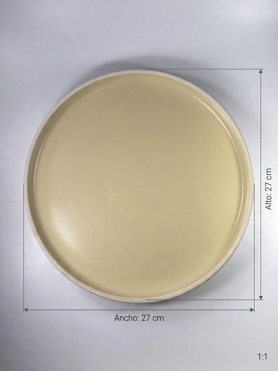 Plato Cartero De Colores Borde Blanco
