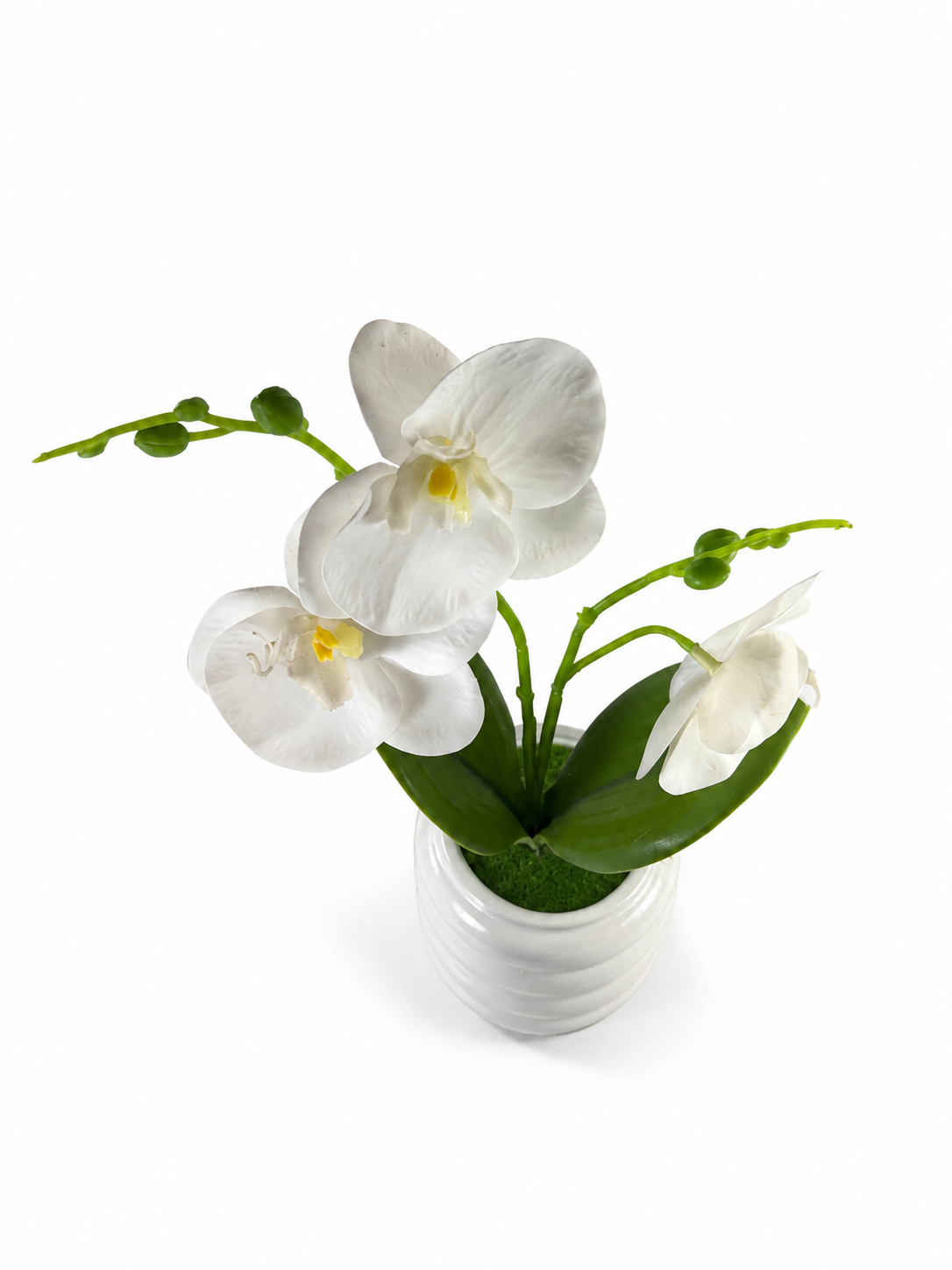 Orquídea Artificial con Maceta de Cerámica